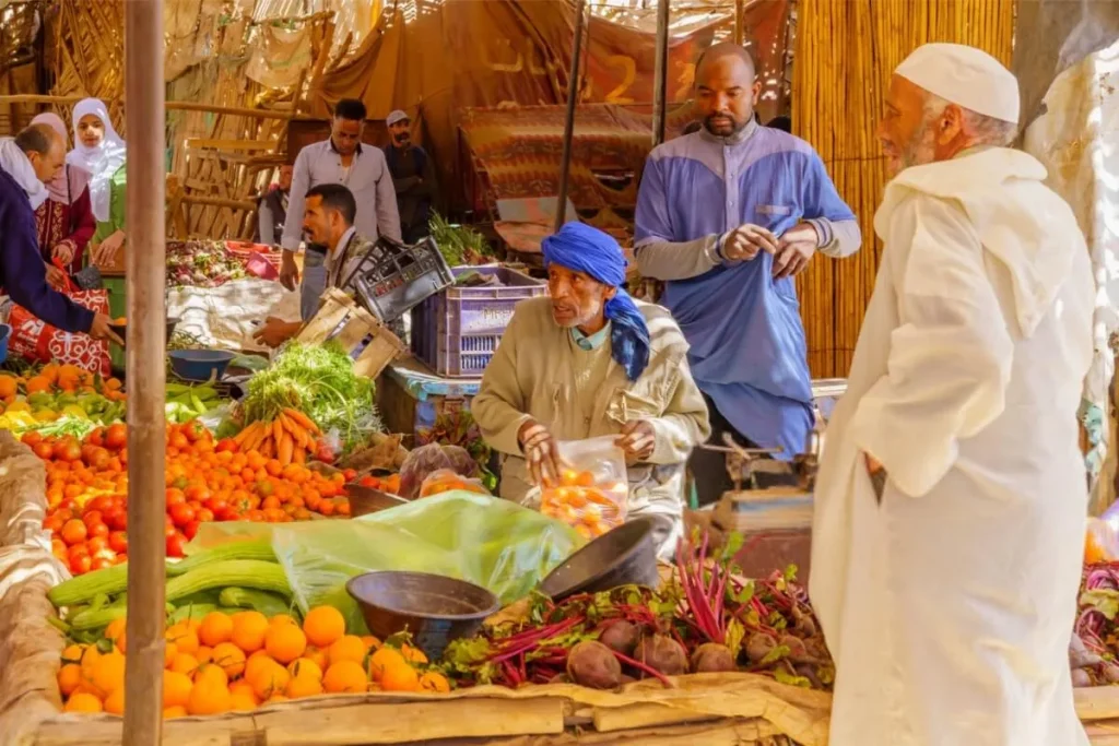 Rissani Market and Ksars Tour.