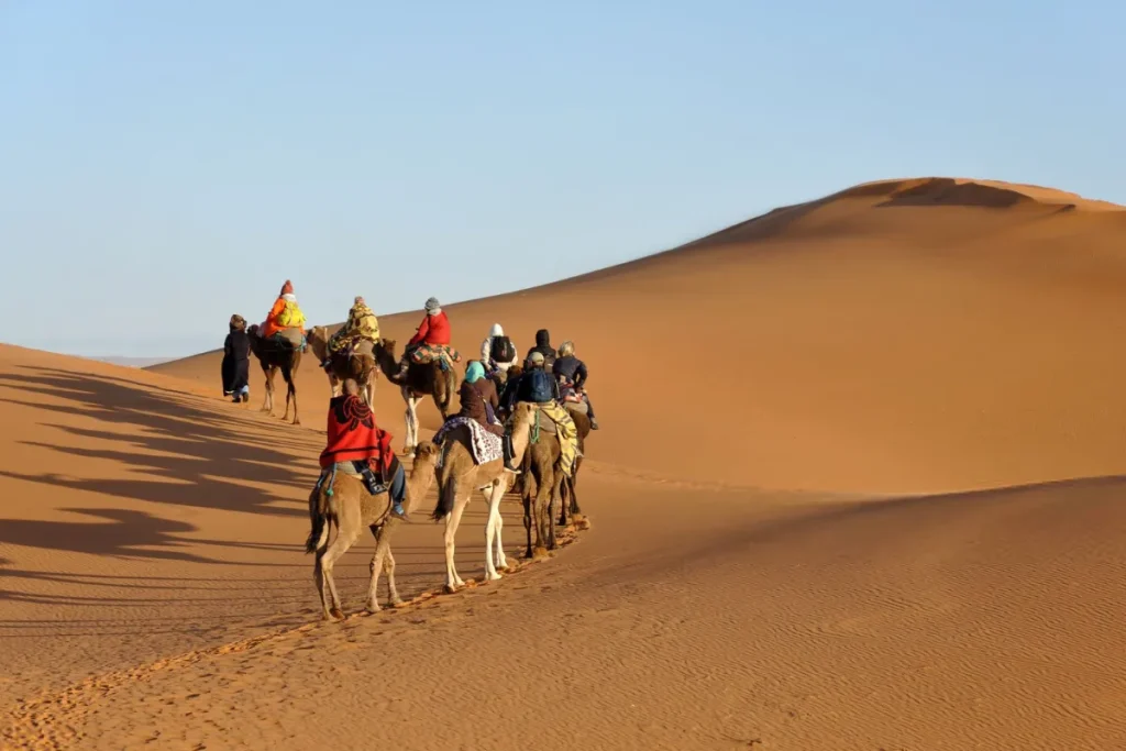 1-Hour Merzouga Camel Ride