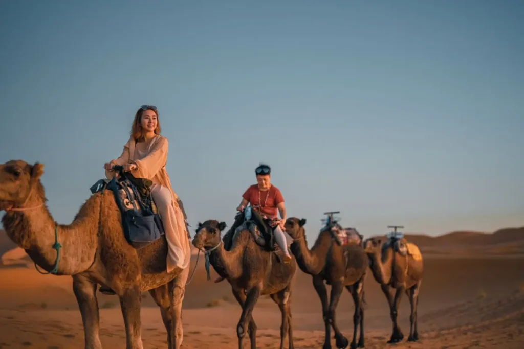 1-Hour Merzouga Camel Ride