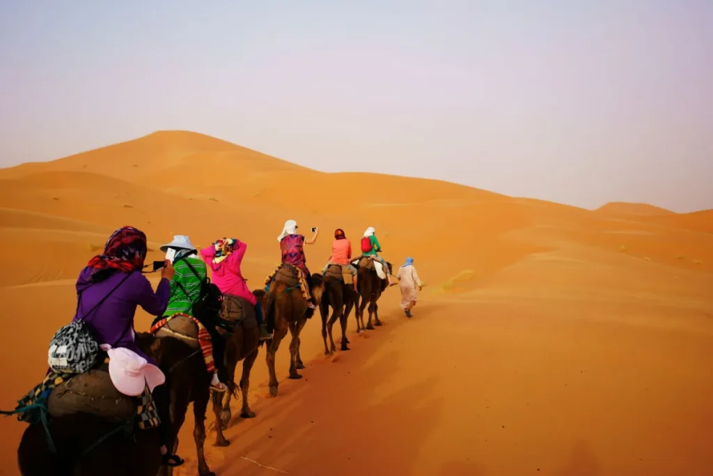 1-Hour Merzouga Camel Ride