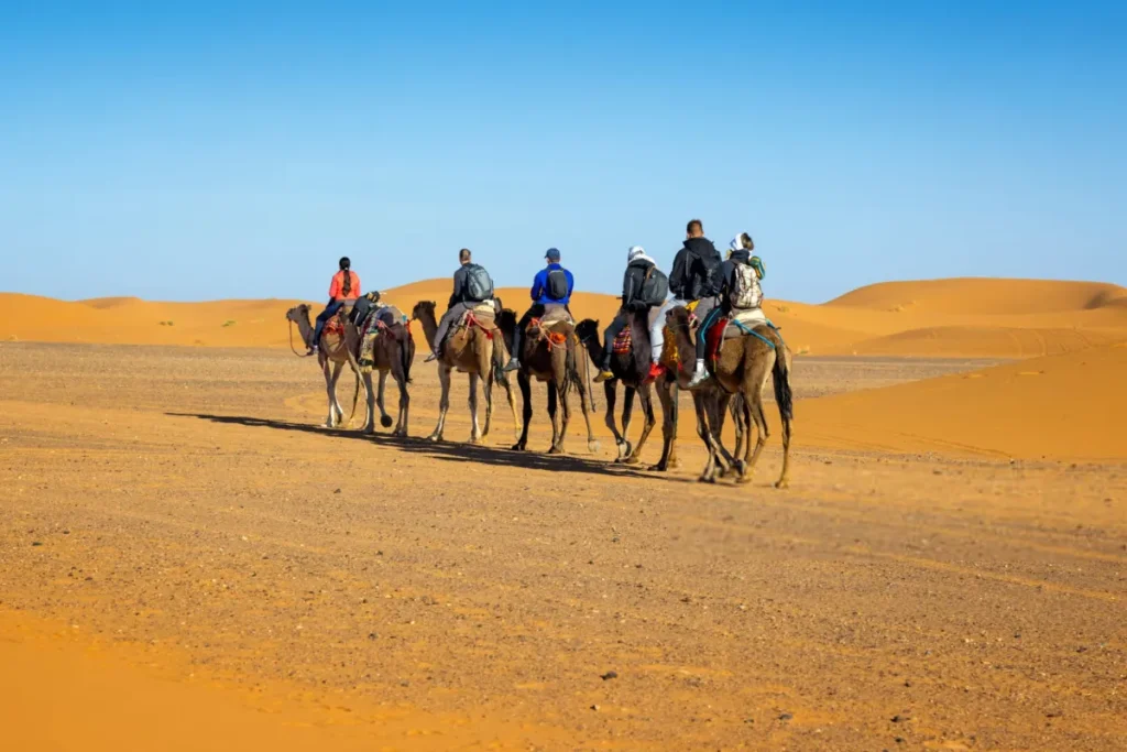 1-Hour Merzouga Camel Ride