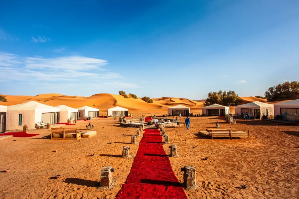 Ultra Luxury Desert Camp Experience