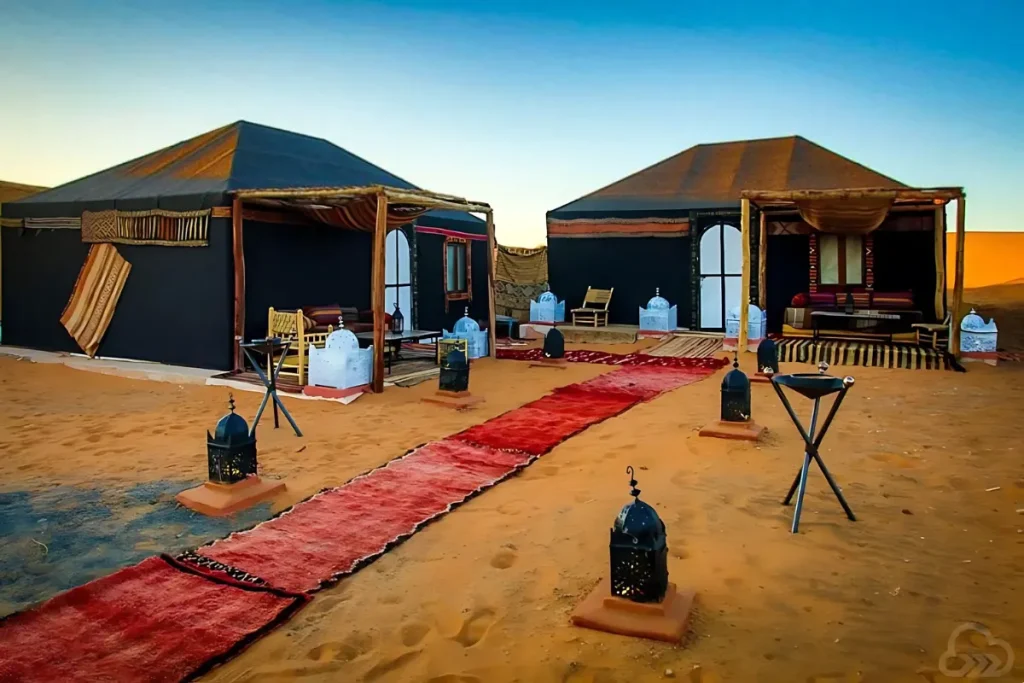 Camel Ride and Overnight in Sahara Desert Camp